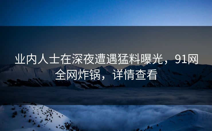 业内人士在深夜遭遇猛料曝光，91网全网炸锅，详情查看