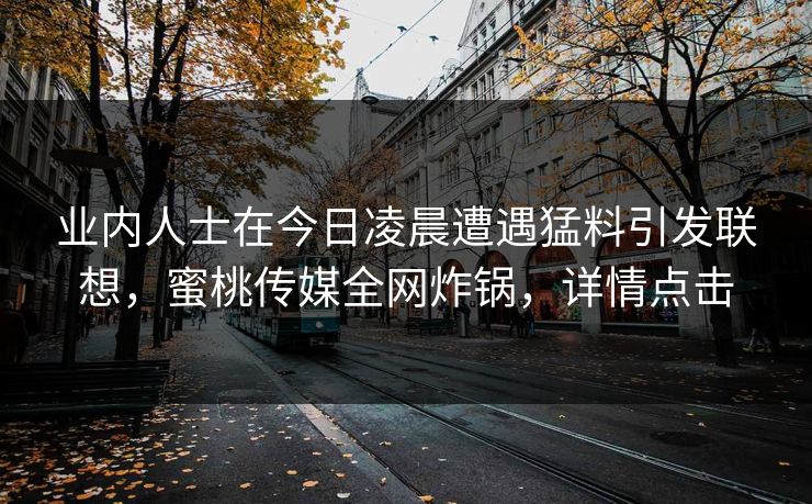 业内人士在今日凌晨遭遇猛料引发联想，蜜桃传媒全网炸锅，详情点击