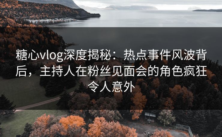 糖心vlog深度揭秘：热点事件风波背后，主持人在粉丝见面会的角色疯狂令人意外