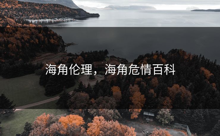 海角伦理，海角危情百科